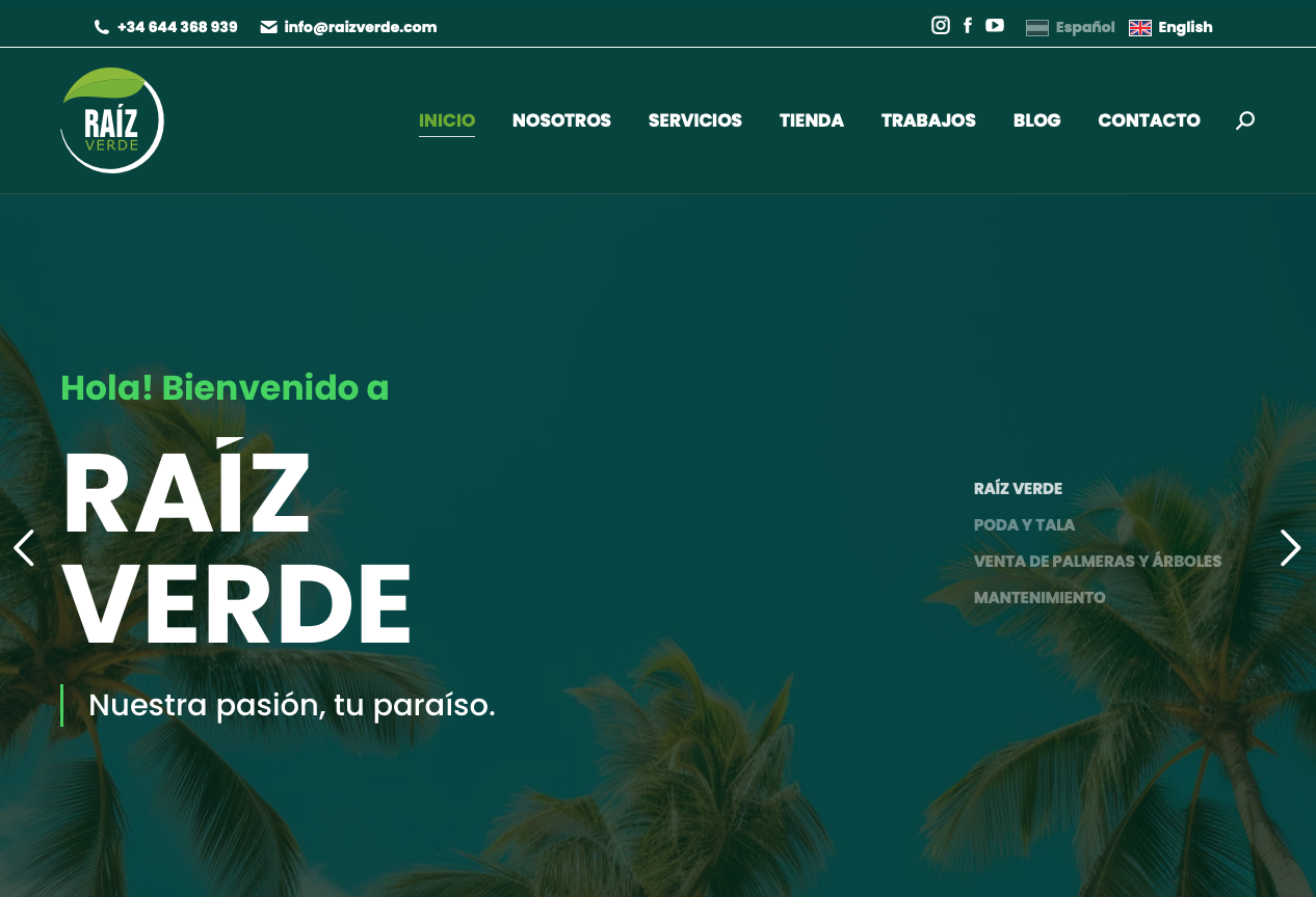 Raíz Verde